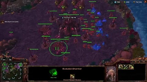 Session 4: StarCraft II (1v1 Matchmaking as Random)