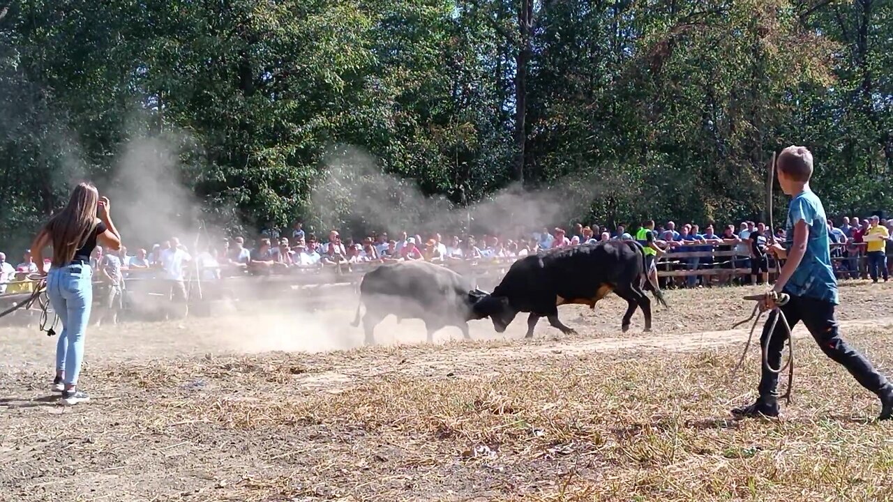 Garo Fejzo i Fatima Butković vs Soko Ismet Muminović