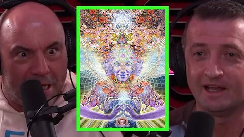 Does Joe Rogan Think the DMT Elves Are Real? - Best of JRE