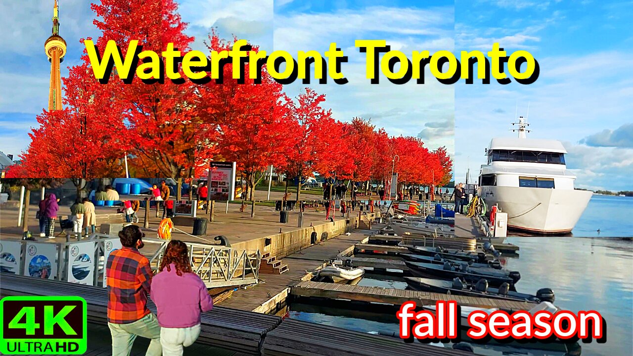 【4K】Waterfront Toronto Fall season Thanksgiving Canada 🇨🇦