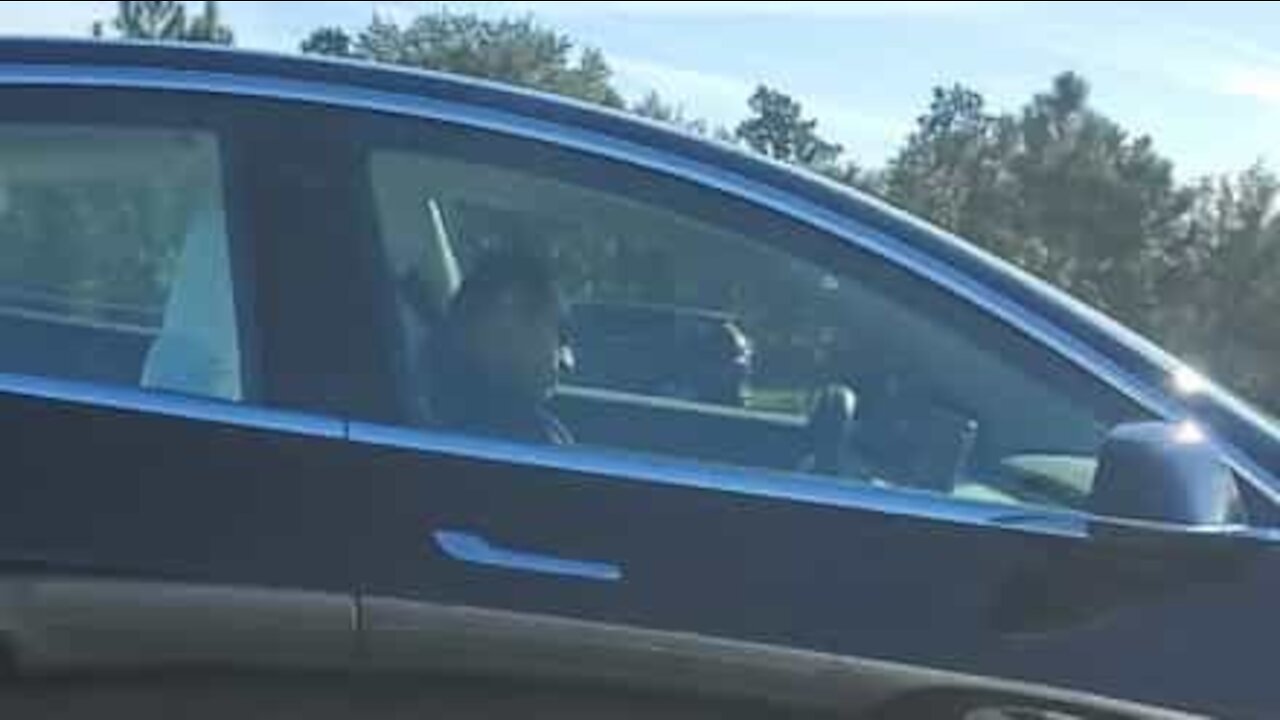 Driver sleeping at the wheel of his Tesla