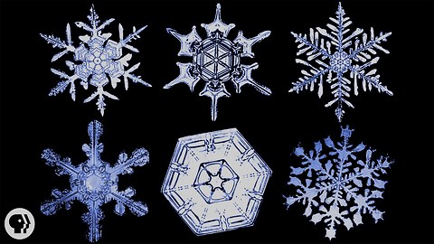 The Science of Snowflakes