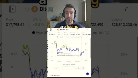 Are Bitcoin buyers in profit or loss?