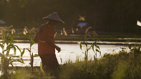 Relaxing music and amazing scenery from Bali :)