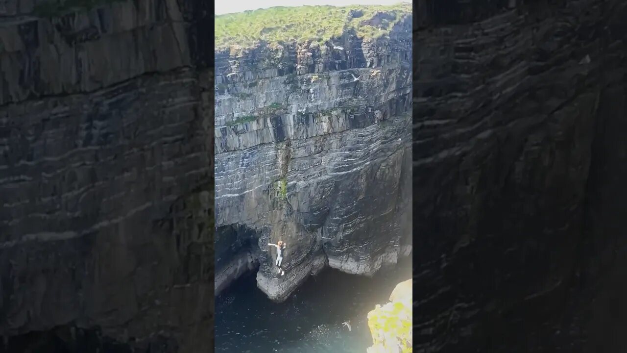 He Landed On A Bird! 🤣