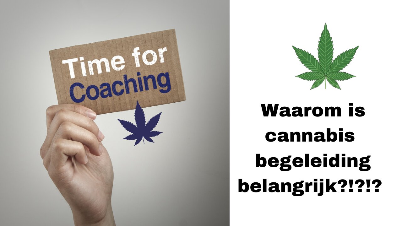 Ontdek het Belang van Deskundige Begeleiding bij het gebruik van Cannabis