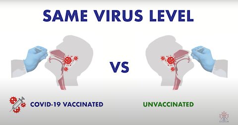 Why Do We Need Vaccine Passports?