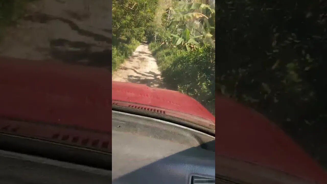 why I bought a Toyota pickup