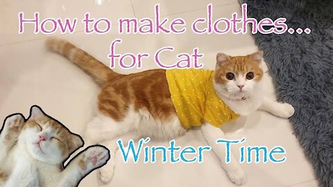 Diy cat clothes.How to make cat 😺 clothes in just 1 min