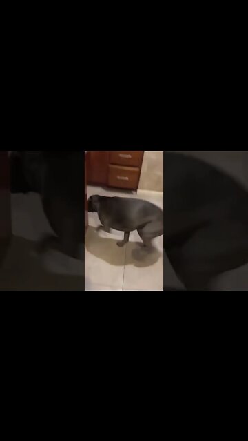 Inflation ? I will work for FOOD, # short