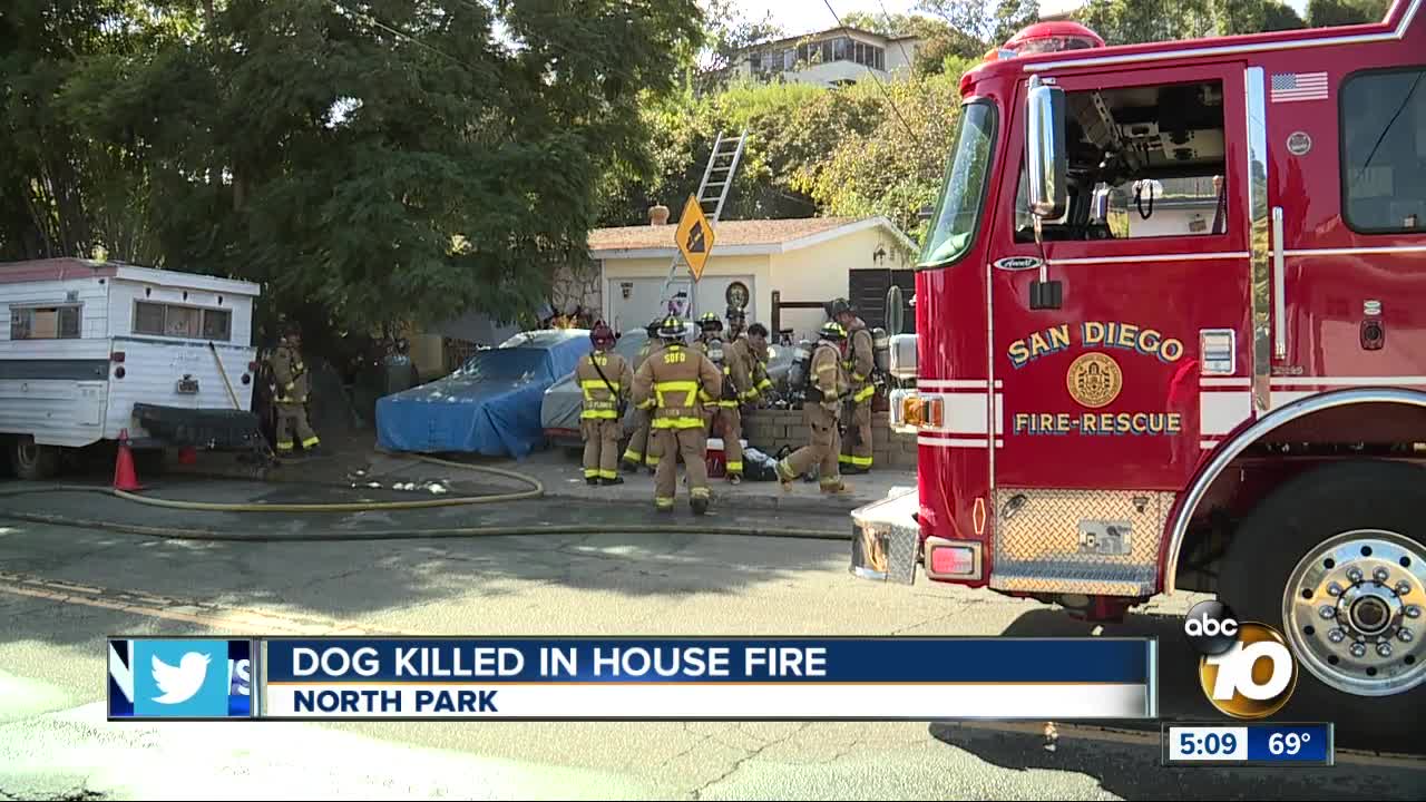 Dog killed in house fire