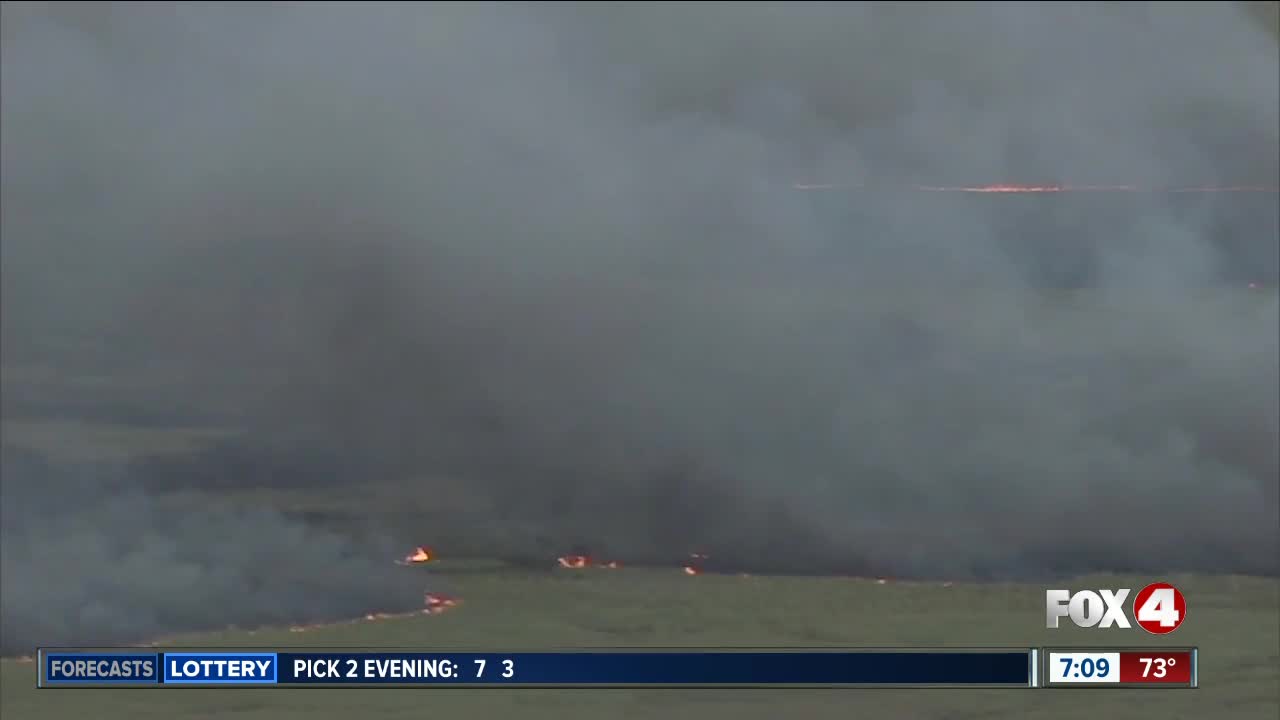 Thousands of acres burned in Florida's Everglades