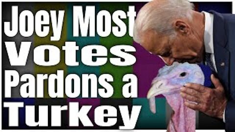 Joey Most Votes Pardons a Turkey | 11/23/21 White House Press Conference | LIVE Stream