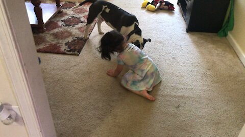 Baby and bulldog puppy