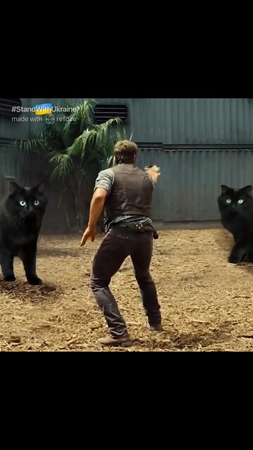 The Ultimate Donald Trump Cat Meme! 🐈