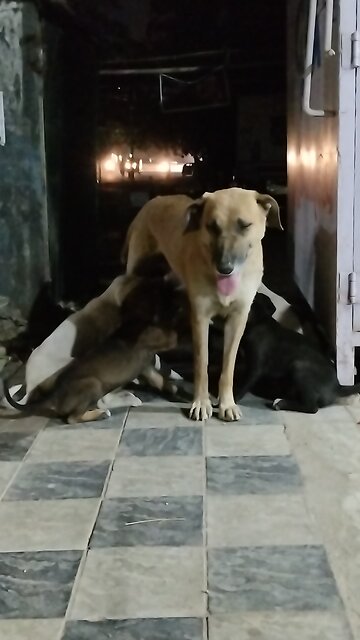 A mother is a mother. There is no one greater than mother in this world.