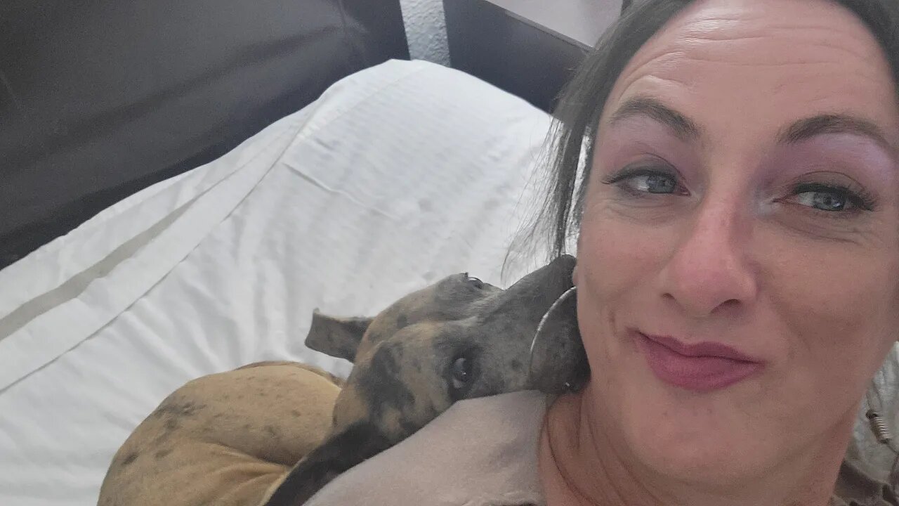 trash the motel// let's get drunk at the mini bar