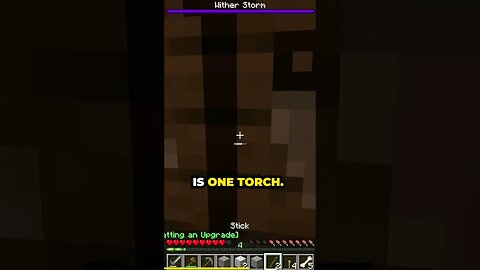 Minecraft, MINING SUCK'S A#$!