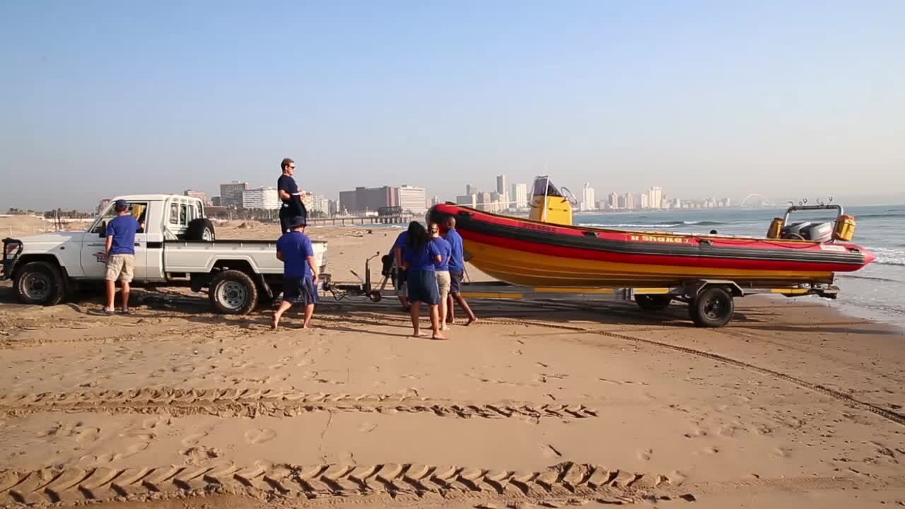 SOUTH AFRICA - Durban - International Turtle Day (Video) (Lju)