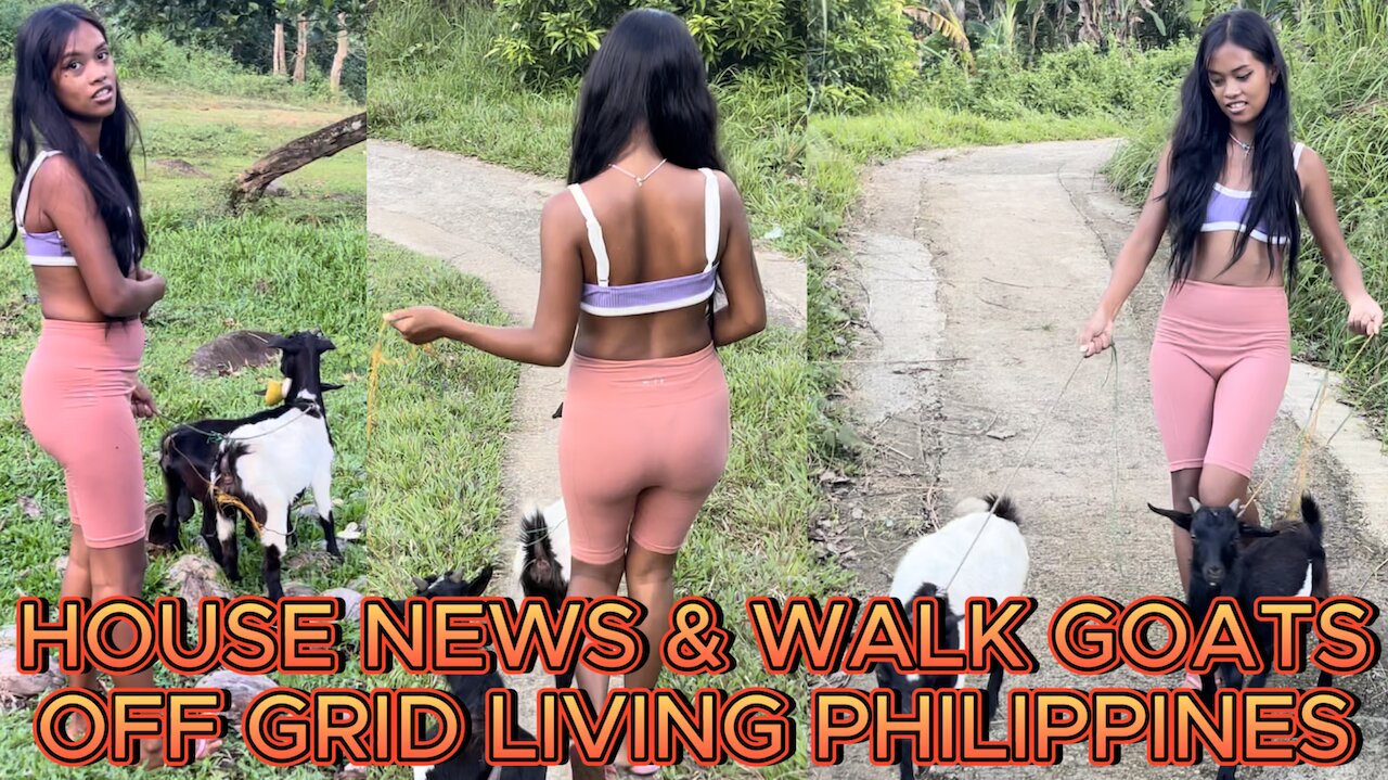 🇵🇭 Filipina Barbie's Tiny House Collection Becoming Real House & GOATS! OFF GRID LIVING PHILIPPINES