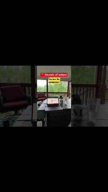 Sounds of nature is a beautiful thing