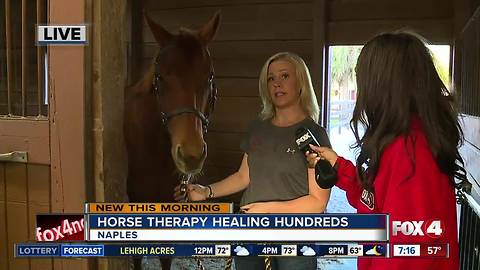 Horse therapy healing hundreds in Naples - 7am live report