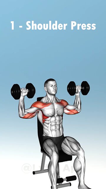 Lyfta App Workout Exercises