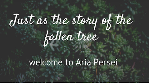 Just as the story of the fallen tree ~ Welcome to Aria Persei