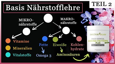 Teil 2 - Aminos First! Wieviel von was muss ich Einnehmen!? Die wichtigsten Nährstoffe im Überblick