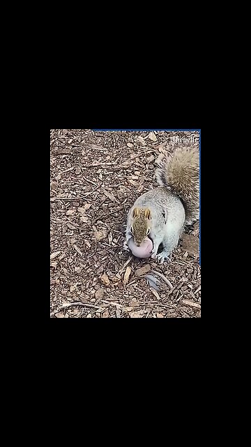 She gave him relief from distress! 🤩