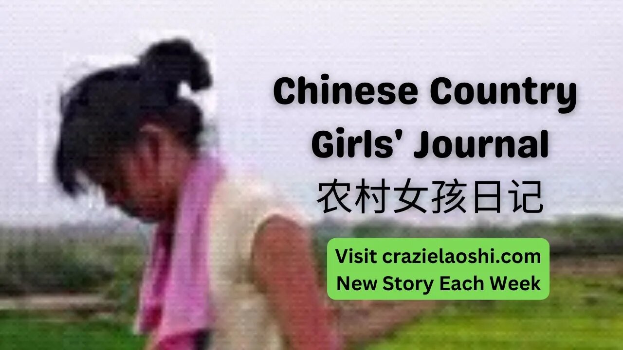 Don't tell, Chinese Country Girl's Journal, Understand Story with Crowd Translation