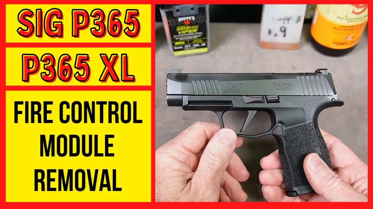 Sig Sauer P365 FCU (Fire Control Unit) Removal & Installation. How to Change Sig P365 Grip Modules