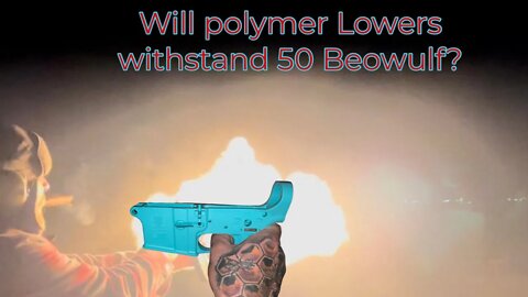 Polymer AR Lowers??? Will they last?
