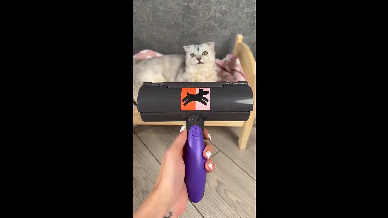 how to clean a cat🥺