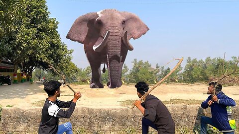 Elephant Attack On Three Village Friends In Real Life.