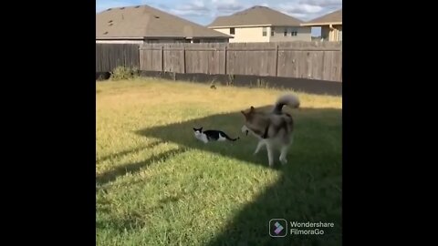 Oh, did I get ya