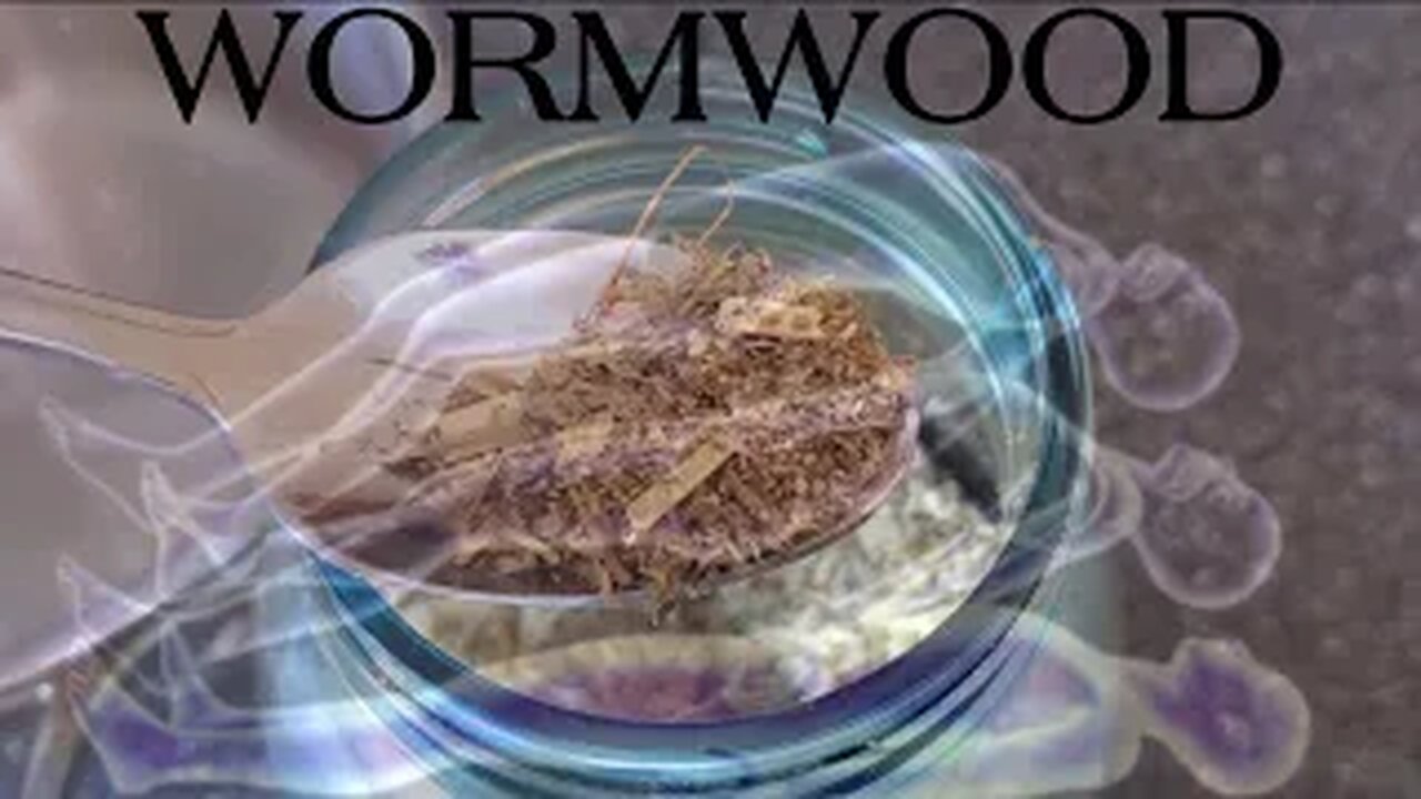 After Drinking WORMWOOD TEA Last Night I ASTRAL PROJECTED! (This Is A Must Watch People!)