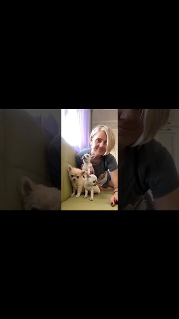 Watch THIS Animal's Adorable, Unexpected Reaction!