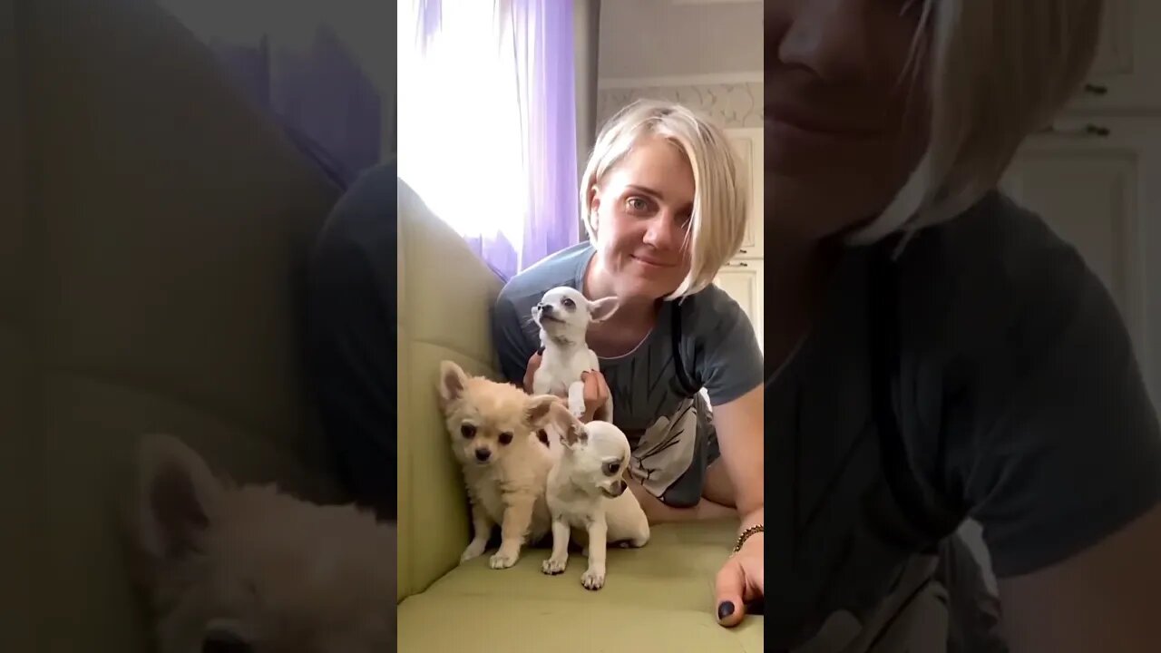 Watch THIS Animal's Adorable, Unexpected Reaction!