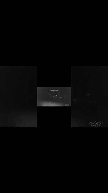 Jack's Trail Camera -- Episode 52 #shorts