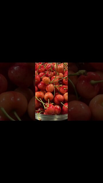 Better than organic, wild non gmo organic cherries, secret experiment on how to preserve them soon