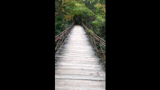 The Swinging Bridge