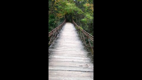 The Swinging Bridge