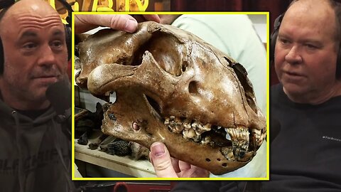 Joe Rogan: MORE Prehistoric BONES Than ANYWHERE ELSE KNOWN ON EARTH