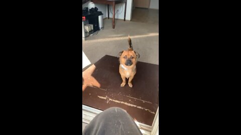 Handsome boy