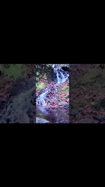 Some white noise background ambiance to help destress from the day.