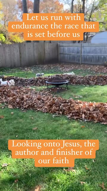 Hebrews 12 Let us run the race that is set before us. #Jesus #JesusIsLord #shorts #Hebrews #bible