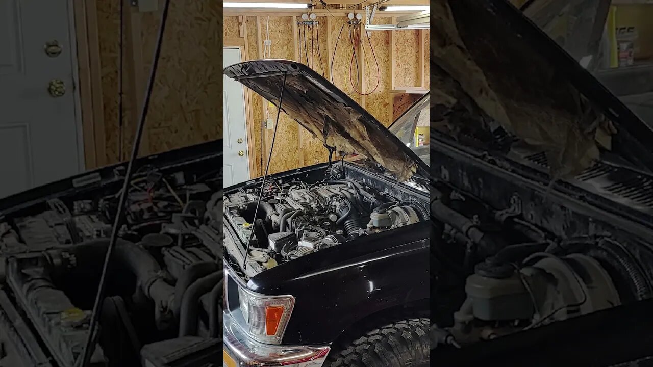 FRANKENYOTA! IT'S ALIVE!