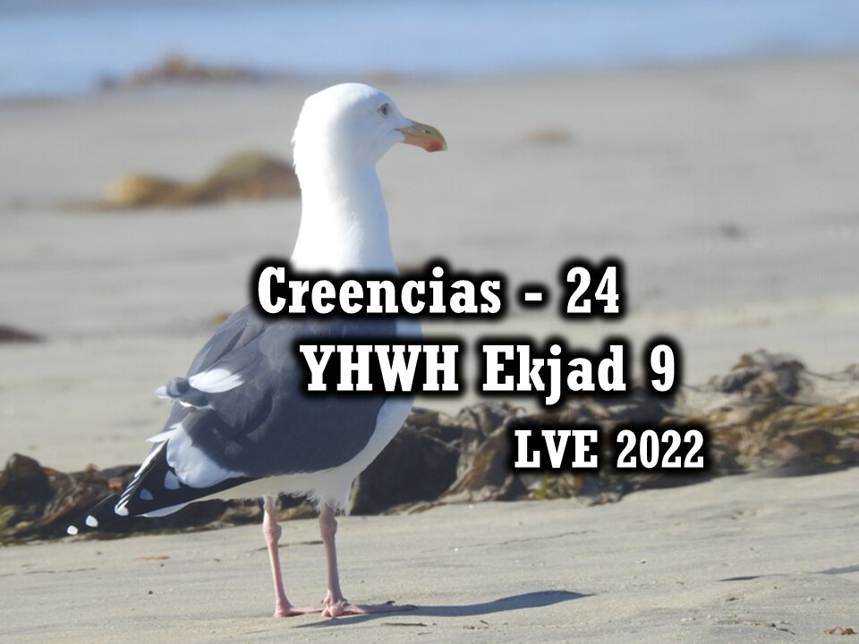 Creencias 24 - YHWH Ekjad 9