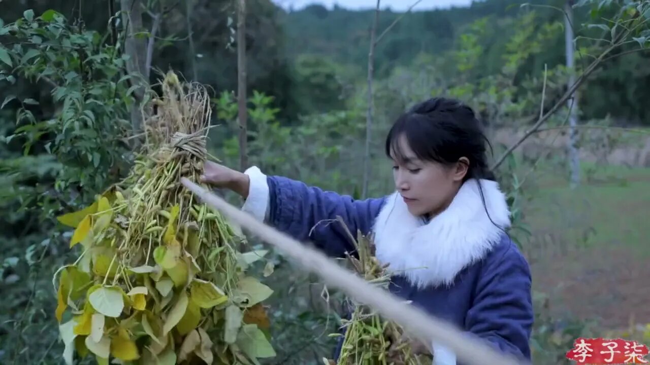 With soybean brew a pot of traditional manual soy sauce, Chinese flavor to China